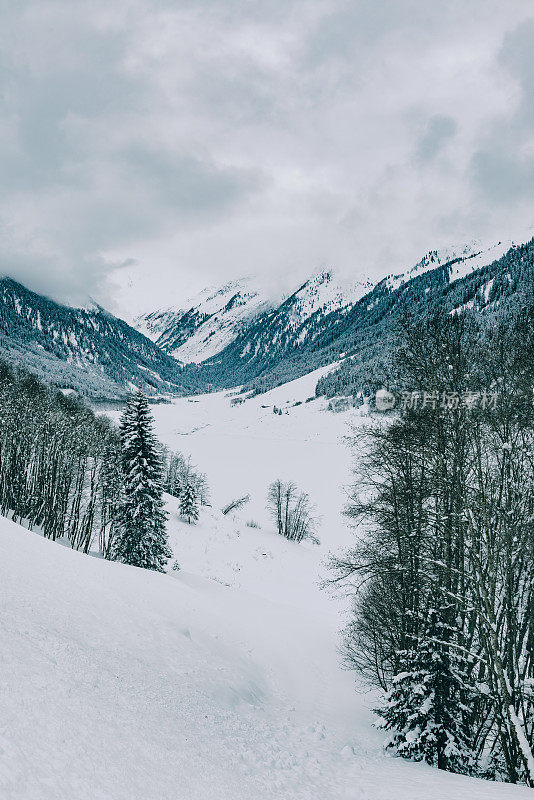 在白雪覆盖和冰冻的Speicher Durlassboden湖与松树和白雪覆盖的山脉